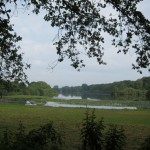IMG_8774